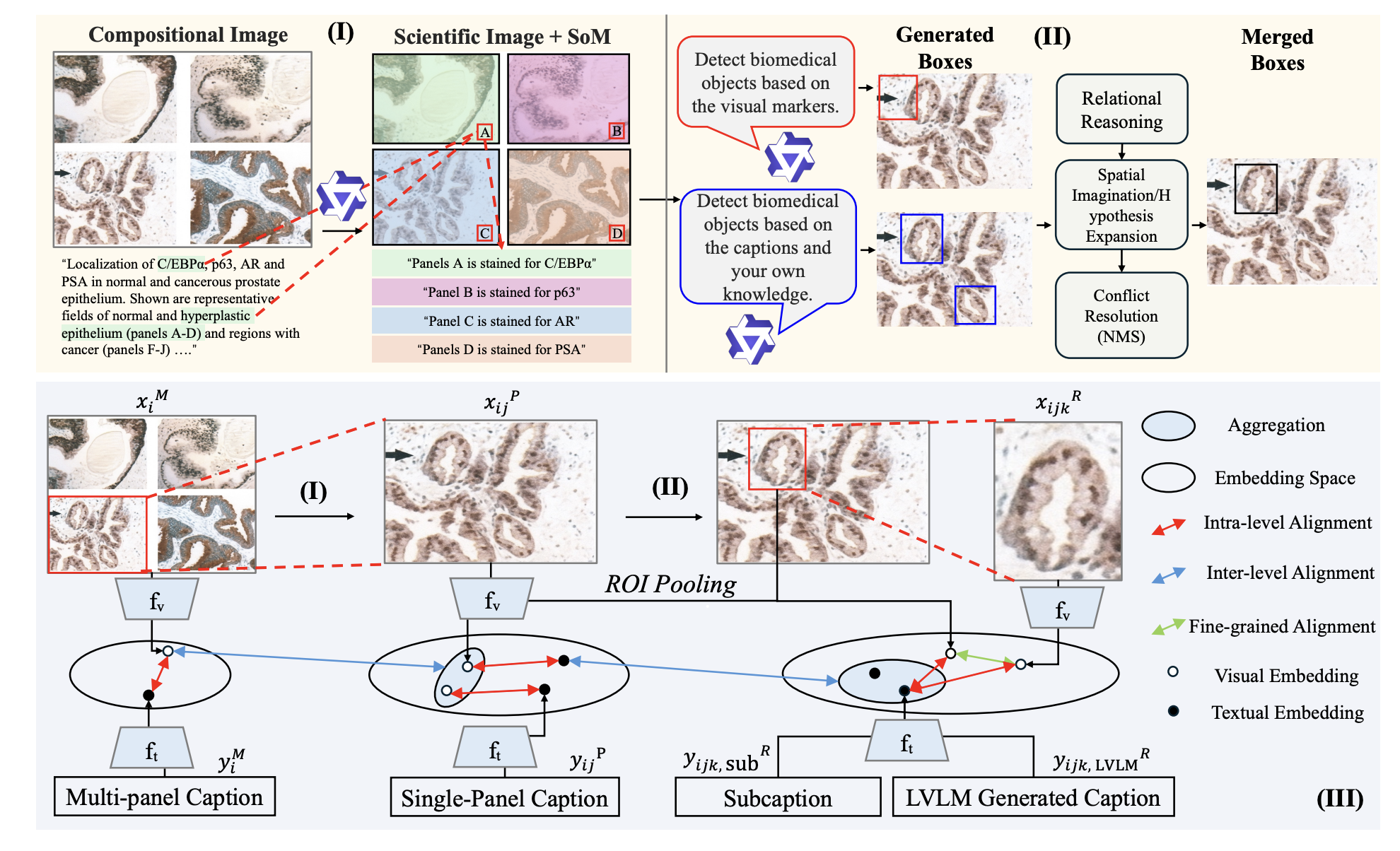 From Panel to Pixel: Zoom-In Vision-Language Pretraining from Biomedical Scientific Literature